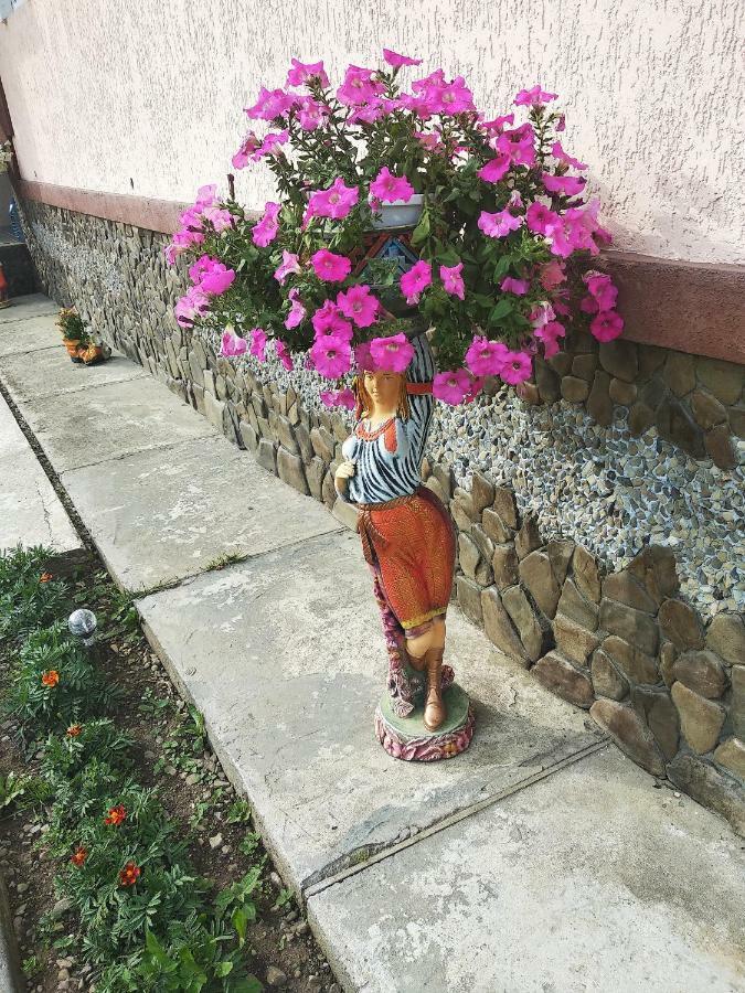 "Різьбярська Садиба" Slavske Exterior foto